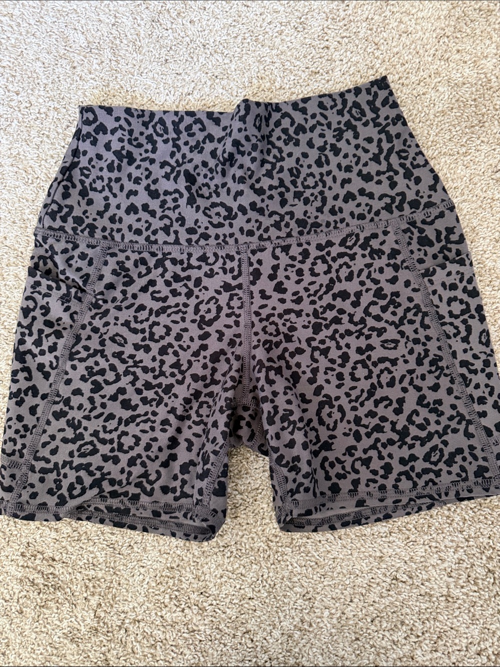 Evolution and Creation Shorts